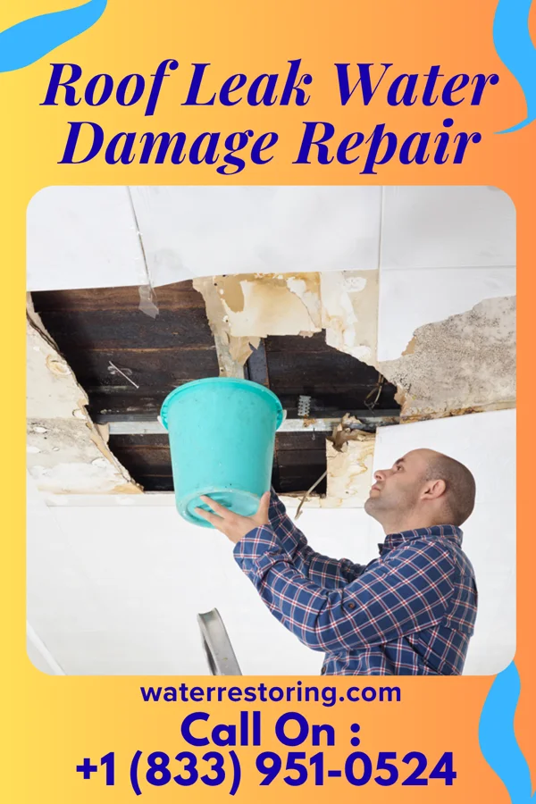 Roof Leak Water Damage Repair in Astoria, SD